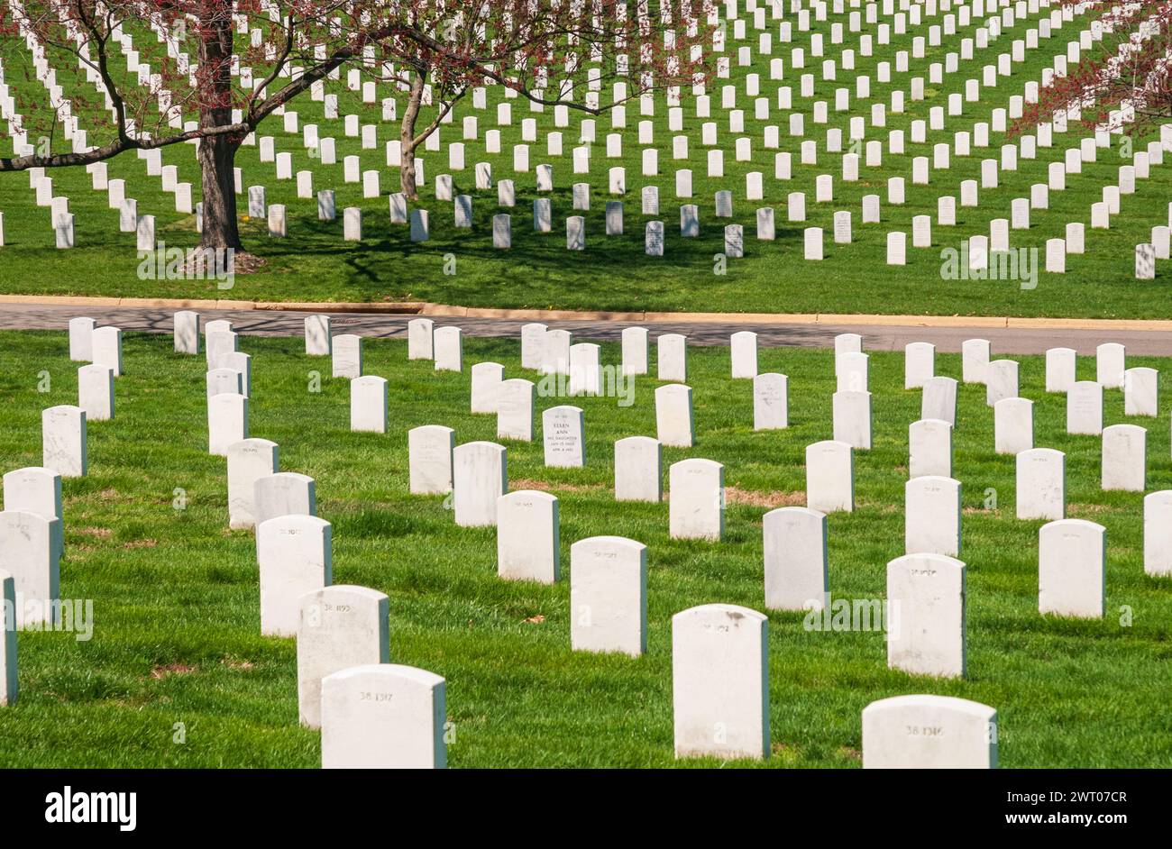 Cimetière national d'Arlington, système de cimetière national des États-Unis dans le comté d'Arlington, Virginie, États-Unis Banque D'Images