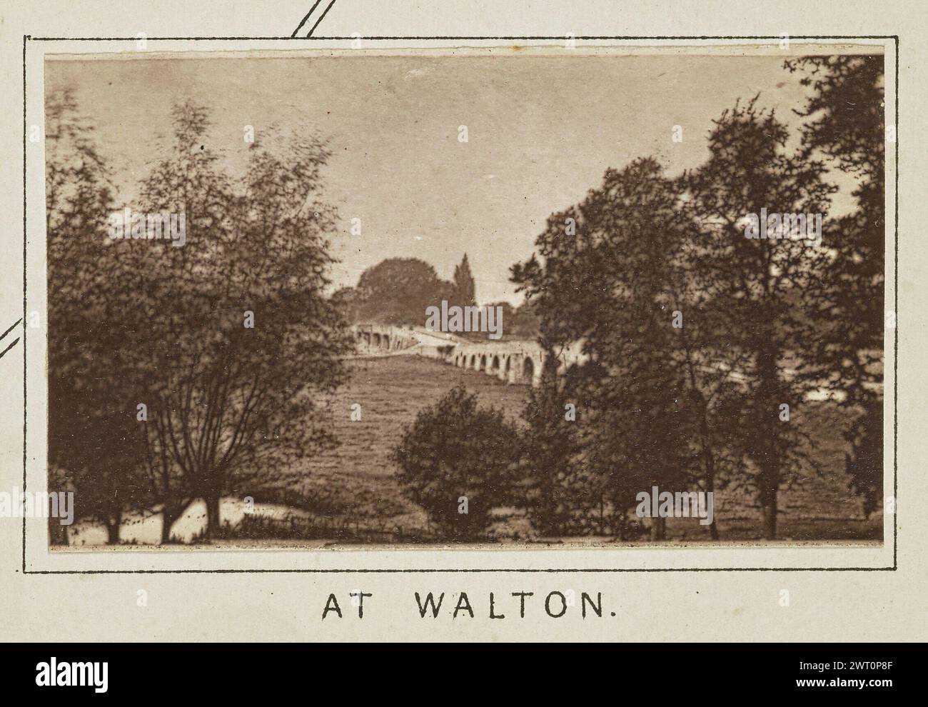 A Walton. Henry W. Tunt, photographe (britannique, 1842 - 1922) vers 1886 une des trois photographies illustrant une carte imprimée de Shepperton, Sunbury, Walton-on-Thames et les environs le long de la Tamise. La photographie montre une vue du pont Walton à travers des arbres poussant sur la rive. (Recto, monture), au centre inférieur, au-dessous de l'image, imprimé à l'encre noire : 'AT WALTON.' Banque D'Images