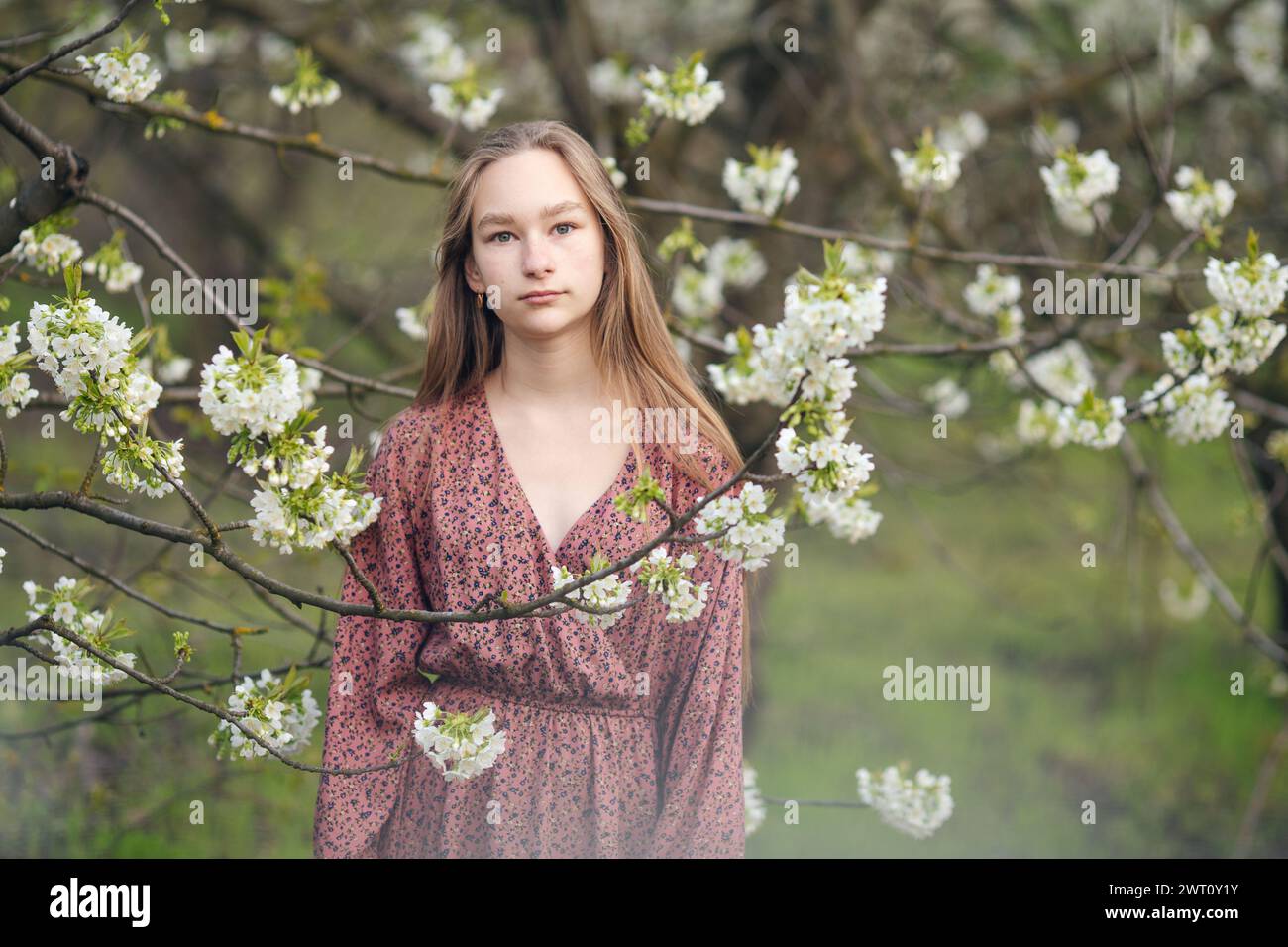 fille avec de longs cheveux dans un arbre en fleurs Banque D'Images