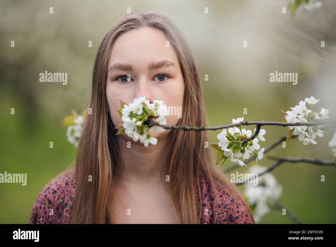 jeune fille couvrant la bouche avec une fleur blanche Banque D'Images