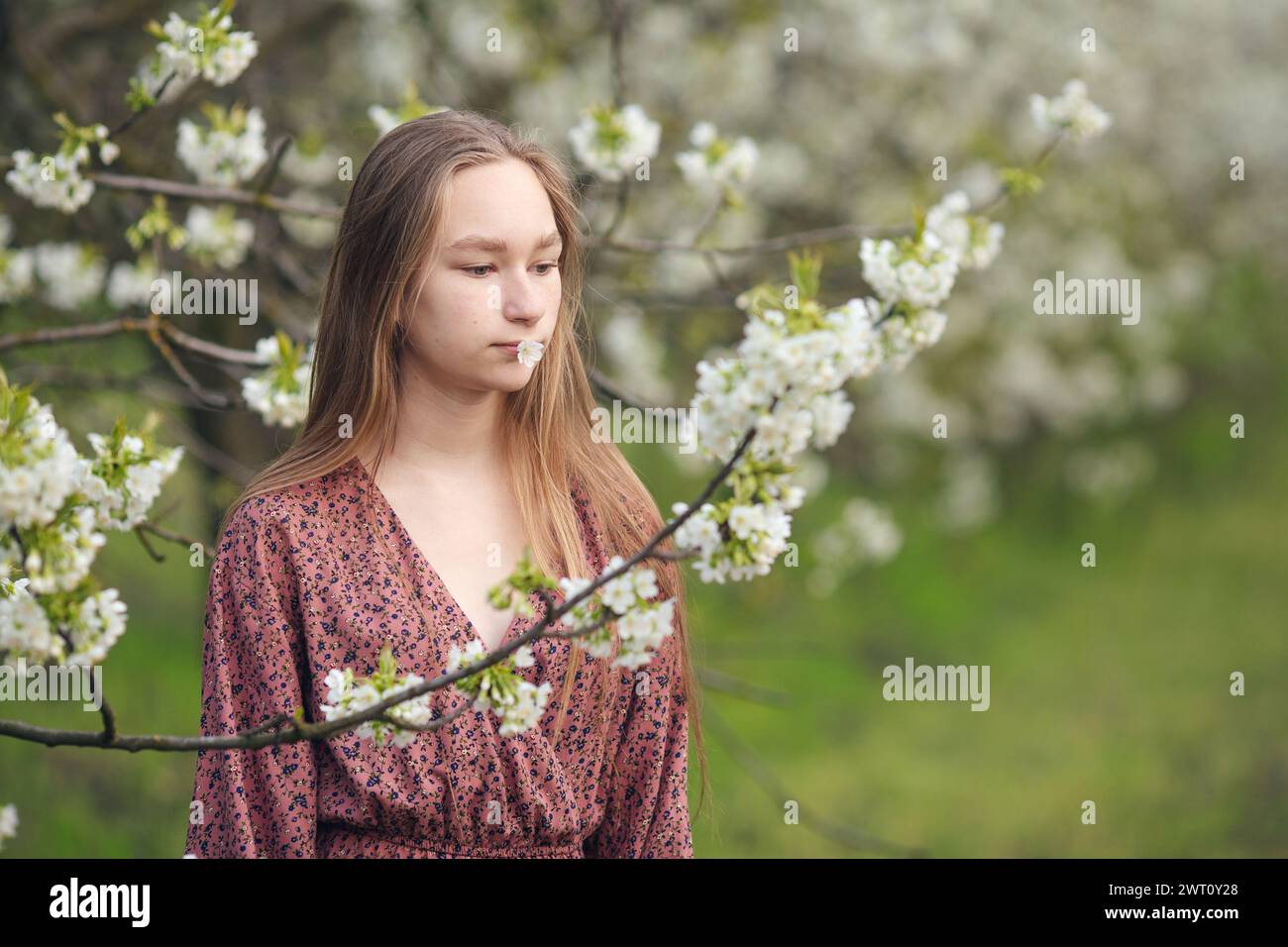 fille tenant une fleur blanche de printemps dans ses lèvres Banque D'Images