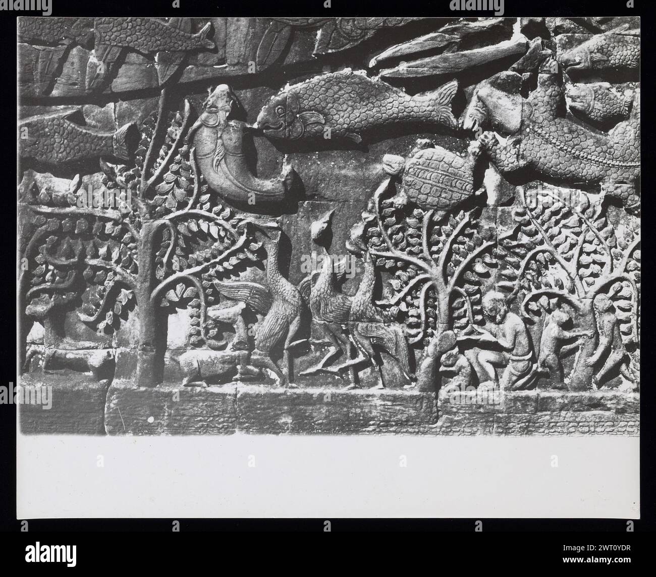 Cambodge Angkor Bayon image inédite 5. Swaan, Wim. 1966 ou plus tôt matériaux de production photographique pour les villes perdues d'Asie : Ceylan, Pagan, Angkor des photographies d'architecture ont été sélectionnées et numérisées à partir de ces matériaux. Les portraits, les images ethnographiques et les images d'objets de musée ont été exclus. Les images numériques sont classées géographiquement, d'abord par pays, puis par ville, puis par site complexe ou monument, avec tous les noms dans l'ordre alphabétique. Les noms de lieux sont dérivés du Getty Thesaurus of Geographic Names (TGN)®, des rubriques de la Bibliothèque du Congrès et des publications savantes. Banque D'Images