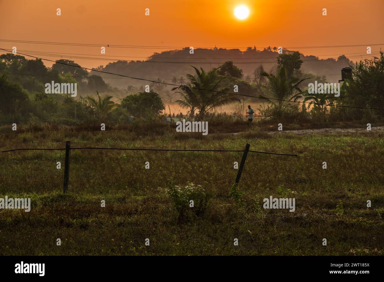 Paysage avec lever de soleil dans les terres agricoles rurales en Inde. Lever de soleil brumeux dans les plantations de Goa. Tôt le matin, jeux légers avec brouillard et arbres. Indien traditionnel Banque D'Images