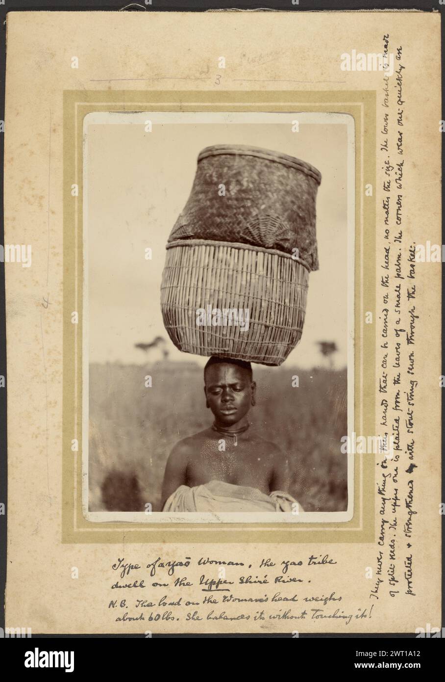 Panier-travail. Inconnu, photographe 1910 Une femme équilibrant deux grands paniers, l'un sur l'autre, sur le dessus de sa tête. La femme est debout devant un champ herbeux. Elle regarde en bas, les yeux partiellement fermés. (Recto, monture) centre supérieur, crayon : '12/3/Swann' ; (recto, monture) centre gauche, crayon : '4' ; (recto, monture) centre droit, encre noire : 'ils ne portent jamais rien dans leurs mains qui puisse être porté sur la tête, peu importe la taille. Le panier inférieur est fait de roseaux fendus. La partie supérieure est tressée à partir des feuilles d'une petite paume. Les coins qui s'usent tous rapidement sont/protégés Banque D'Images