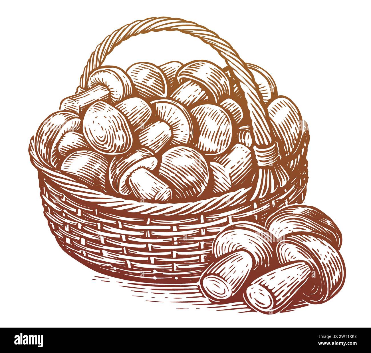 Panier complet de champignons porcini fraîchement cueillis. Aliments biologiques. Illustration vectorielle d'esquisse dessinée à la main Illustration de Vecteur