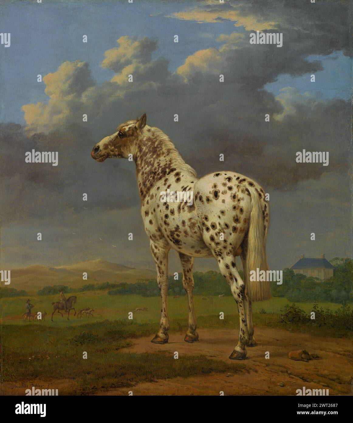 Le cheval 'Piebald' du peintre néerlandais Paulus Potter. De vers 1650-4, huile sur toile. Image numérique fournie avec l'aimable autorisation du programme Open Content de Getty Banque D'Images