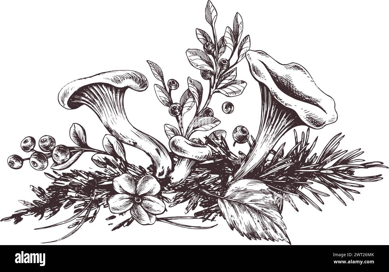 Chanterelles forestières avec des bleuets, de la mousse et des feuilles d'automne. Illustration botanique graphique dessinée à la main à l'encre brune. Pour l'emballage Illustration de Vecteur