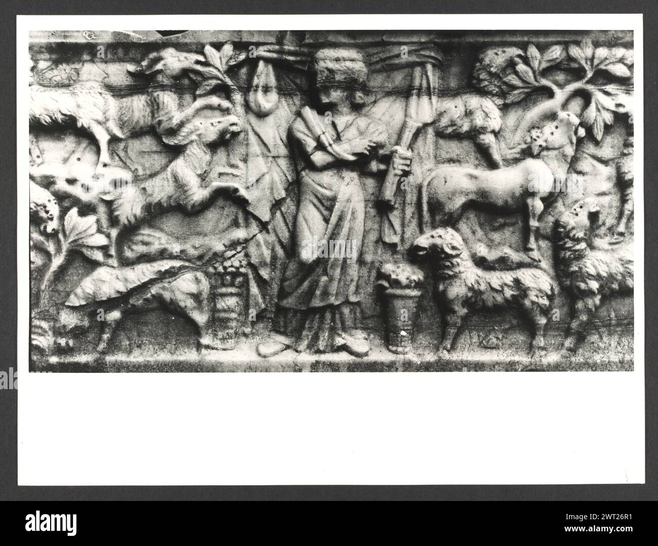 Lazio Roma Rome Palazzo del Commendatore7. Hutzel, Max 1960-1990 Post-médiéval : architecture, sculpture architecturale, sculpture, fresque. Notes de l'objet : le palazzo est le siège du président de l'hôpital de Borgo S. Spirito ; construit entre 1567-71 après la conception de Nanni di Baccio Bigio ; façade linéaire ; horloge fantastique de 1827. Hôpital a été fondé en 1198 par le pape Inncenzo III. Fresques dans les salons, environ 1 000 mètres carrés. 53 négatifs ont déjà été classés. Photographe et érudit d'origine allemande Max Hutzel (1911-1988) photographié en Italie du début des années 1960 jusqu'à sa mort. Banque D'Images
