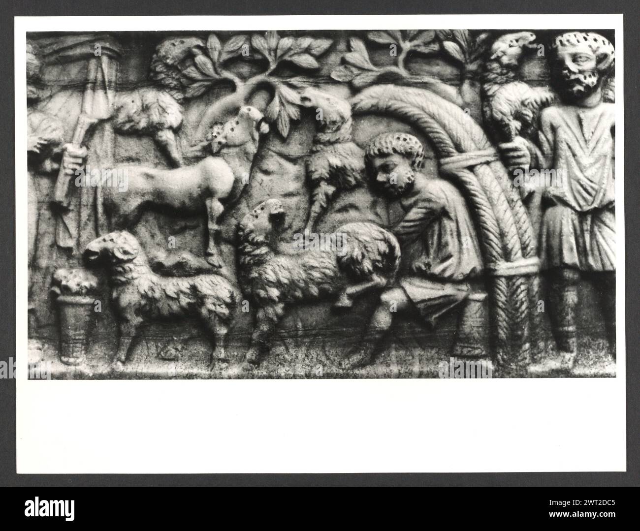 Lazio Roma Rome Palazzo del Commendatore8. Hutzel, Max 1960-1990 Post-médiéval : architecture, sculpture architecturale, sculpture, fresque. Notes de l'objet : le palazzo est le siège du président de l'hôpital de Borgo S. Spirito ; construit entre 1567-71 après la conception de Nanni di Baccio Bigio ; façade linéaire ; horloge fantastique de 1827. Hôpital a été fondé en 1198 par le pape Inncenzo III. Fresques dans les salons, environ 1 000 mètres carrés. 53 négatifs ont déjà été classés. Photographe et érudit d'origine allemande Max Hutzel (1911-1988) photographié en Italie du début des années 1960 jusqu'à sa mort. Banque D'Images