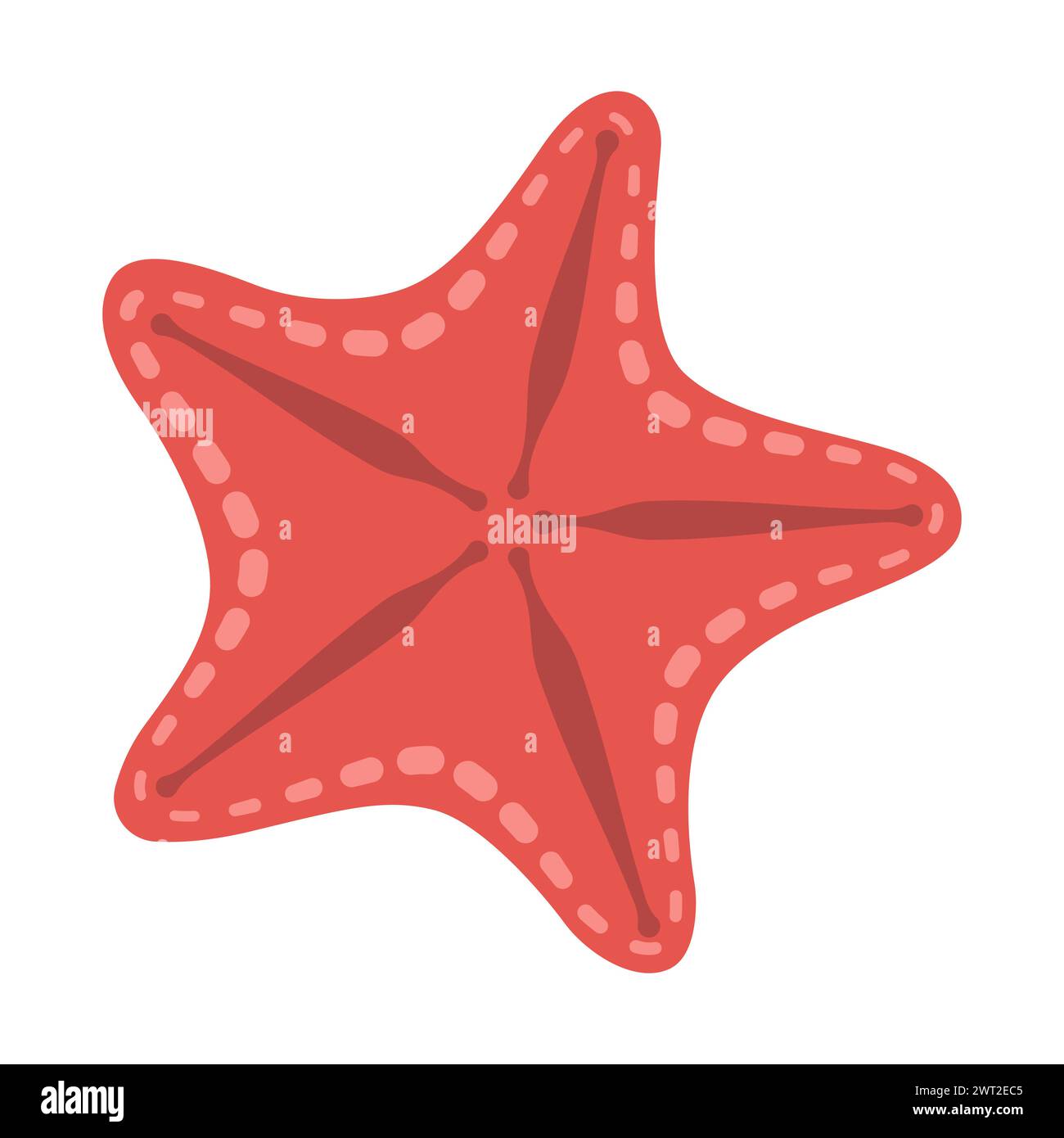 Style plat étoile de mer. Icône étoile de chauve-souris rouge. Style cartoon animal marin. Échinoderme. Icône marine sous-marine isolée sur fond blanc. Illustration vectorielle d'été Illustration de Vecteur