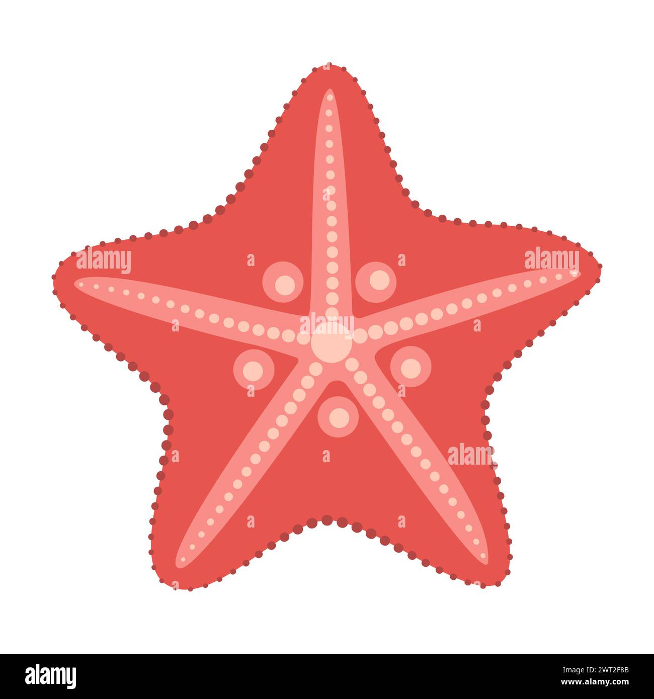 Icône étoile de chauve-souris rouge. Style plat étoile de mer. Style cartoon animal marin. Échinoderme. Icône marine sous-marine isolée sur fond blanc. Illustration vectorielle d'été Illustration de Vecteur