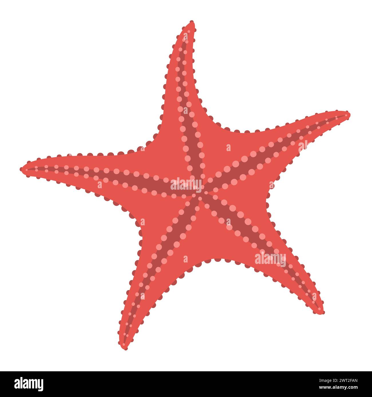 Style plat étoile de mer. Icône étoile de mer rouge. Style cartoon animal marin. Échinoderme. Icône marine sous-marine isolée sur fond blanc. Illustration vectorielle d'été Illustration de Vecteur