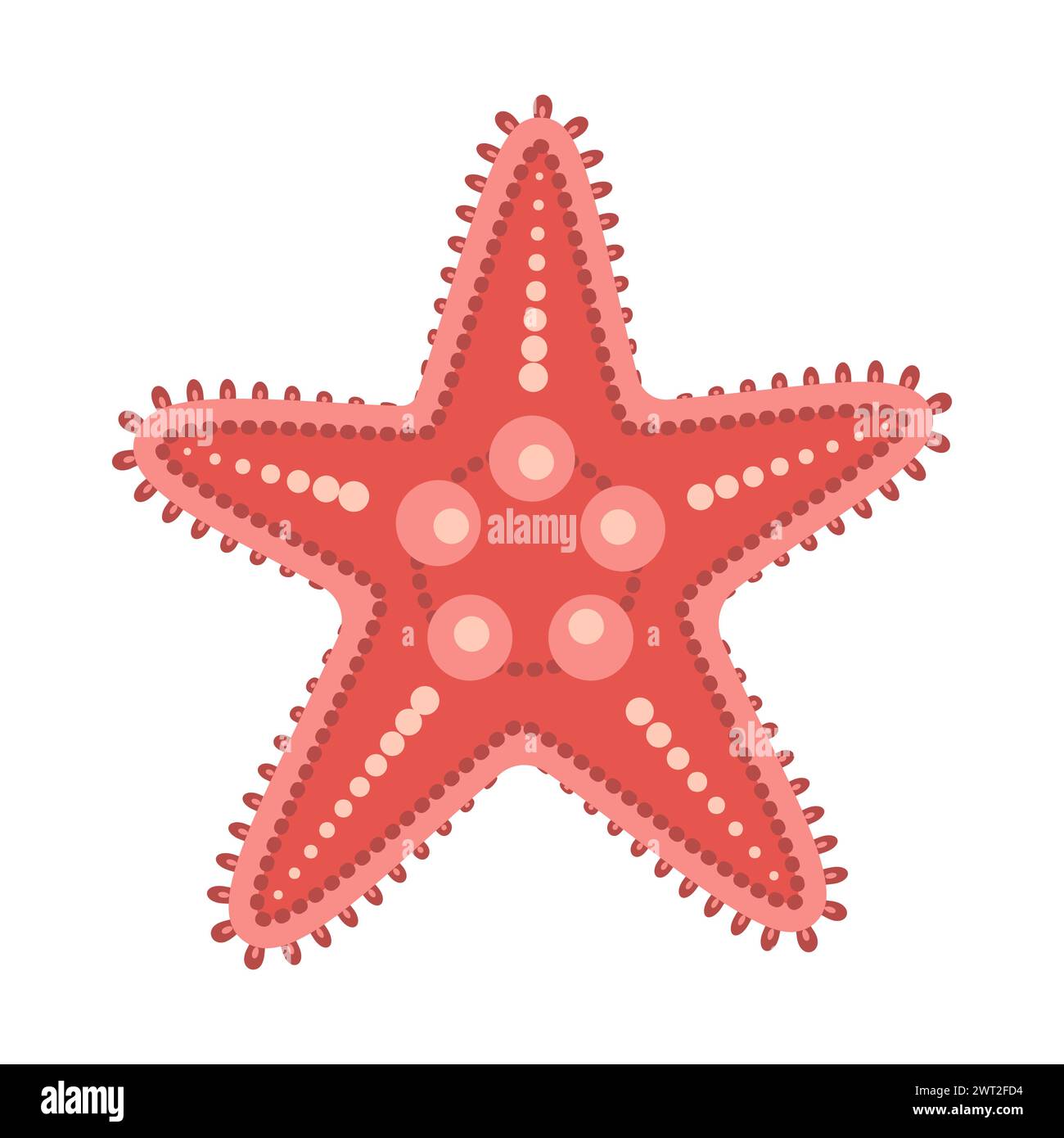Style plat étoile de mer. Icône étoile de mer rouge. Style cartoon animal marin. Échinoderme. Icône marine sous-marine isolée sur fond blanc. Illustration vectorielle d'été Illustration de Vecteur
