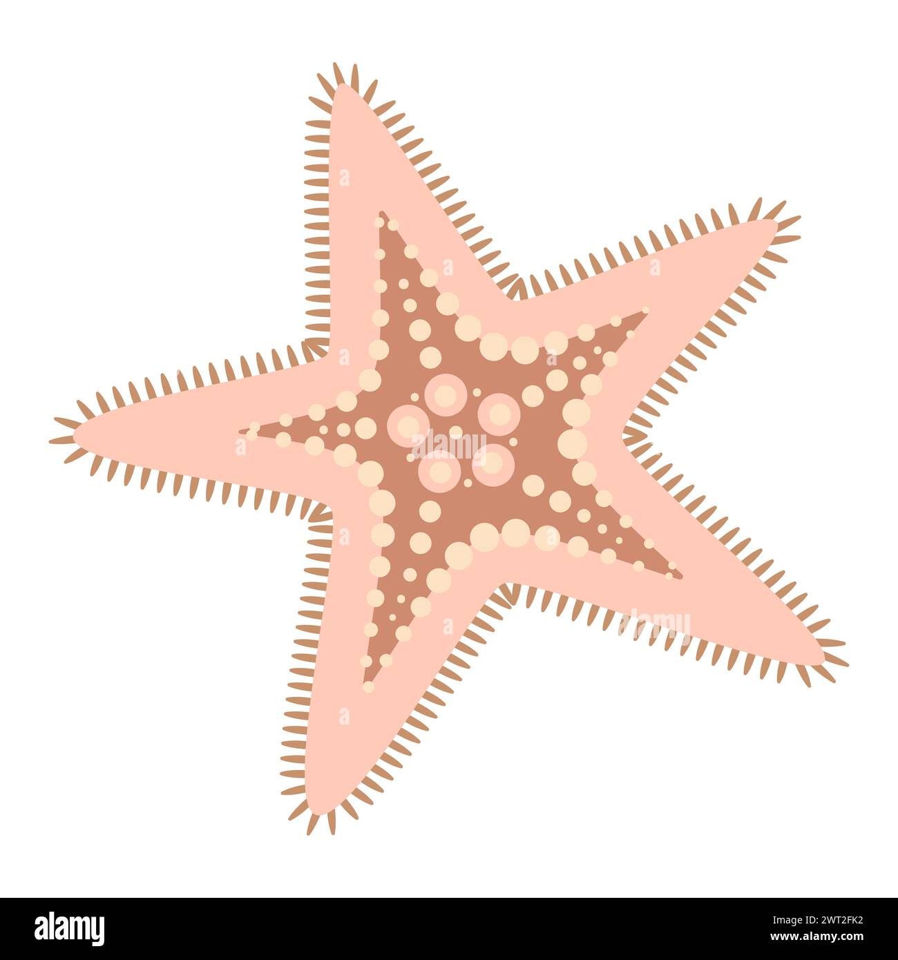 Style plat étoile de mer. Icône étoile de mer rose mignonne. Style cartoon animal marin. Échinoderme. Icône marine sous-marine isolée sur fond blanc. Illustration vectorielle d'été Illustration de Vecteur