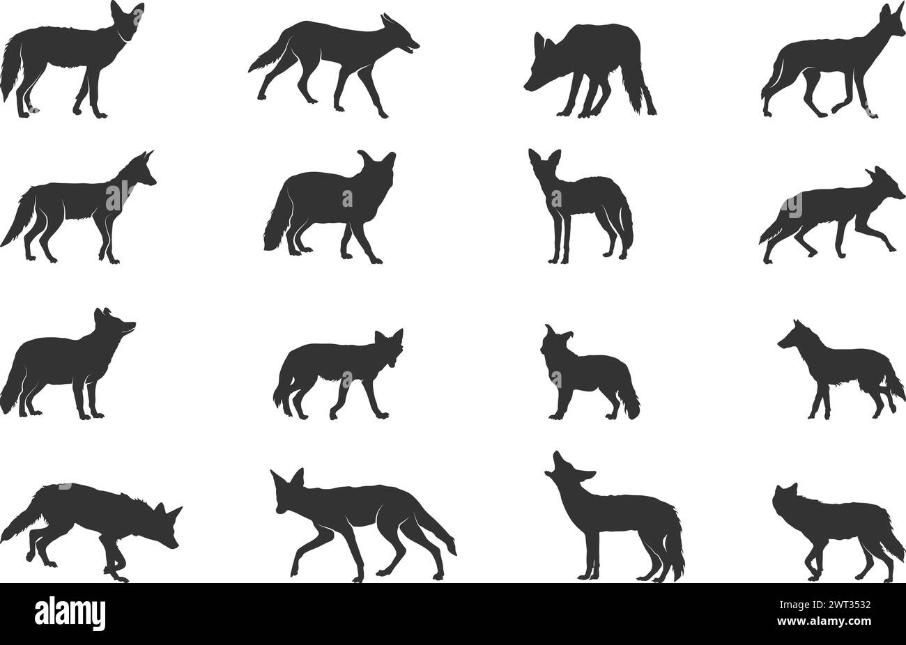 Silhouette Jackal, silhouette Jackal sauvage, silhouettes Jackal, illustration vectorielle Jackal Illustration de Vecteur