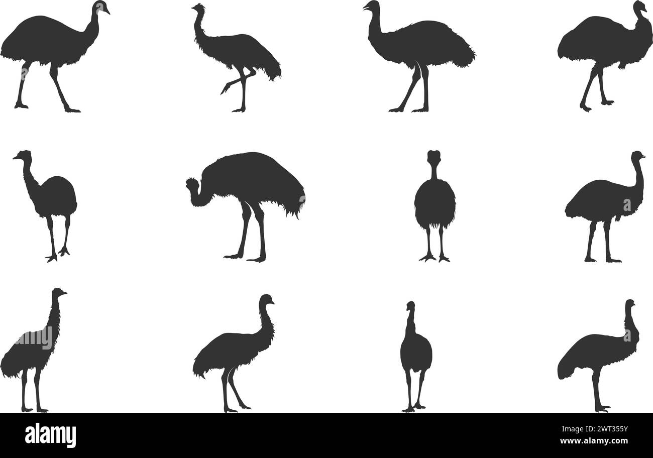 Silhouettes d'emu, silhouette d'oiseau d'emu, oiseau d'emu, silhouette d'emu simple, illustration vectorielle d'emu. Illustration de Vecteur