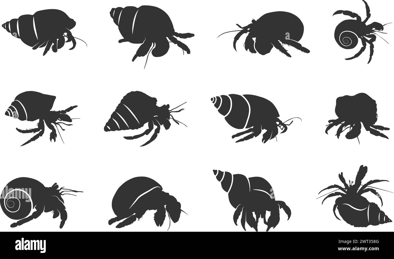 Silhouettes de crabe Hermit, crabe Hermit, silhouette Hermit, illustration vectorielle de crabe Hermit Illustration de Vecteur