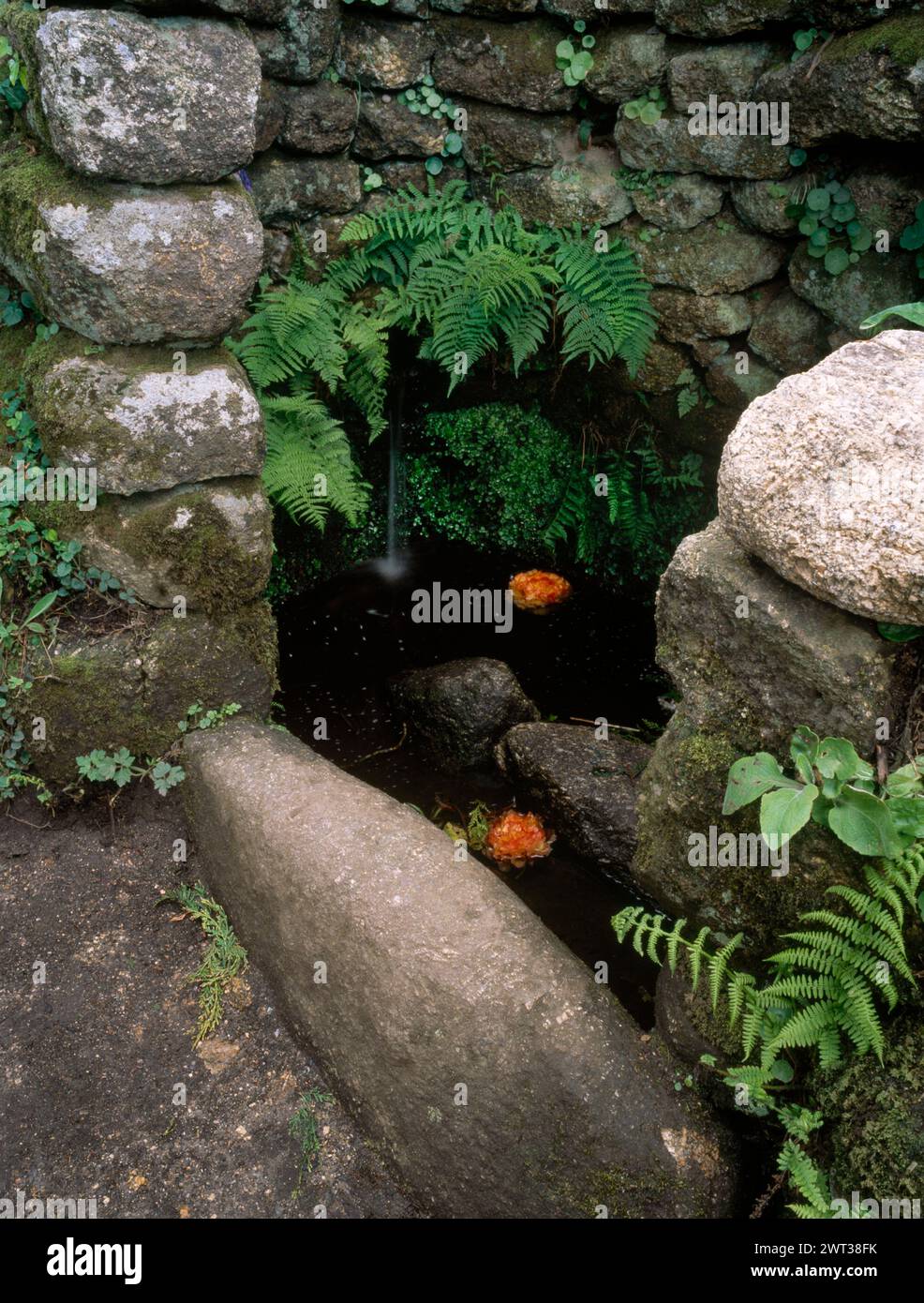 Gros plan de puits dans le coin de Baptistry, Madron, Penzance, West Penwith, Cornwall Banque D'Images