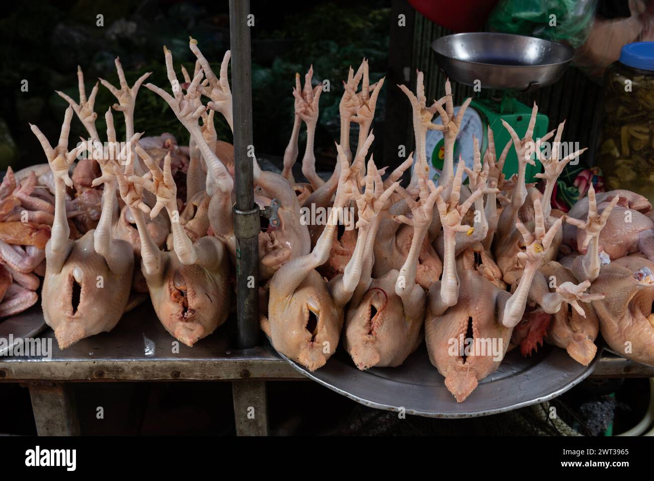 Poulets pleins, entiers, abattus, nettoyés placés à l'envers avec les jambes en l'air sur une table en acier dans un marché au Vietnam. Banque D'Images