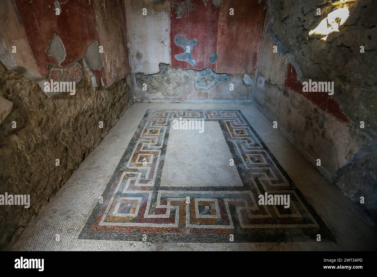 Une mosaïque à l'intérieur de la maison Dioscuri, à l'intérieur des fouilles archéologiques de Pompéi, a rouvert après la restauration récente. Banque D'Images