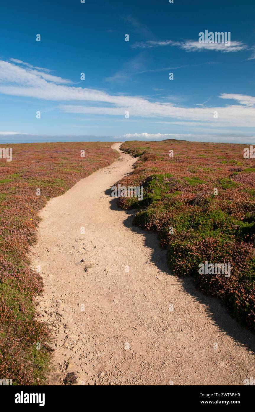 GR34 sentier côtier, pointe du Van, Cleden-Cap-Sizun, Finistère (29), Bretagne, France Banque D'Images