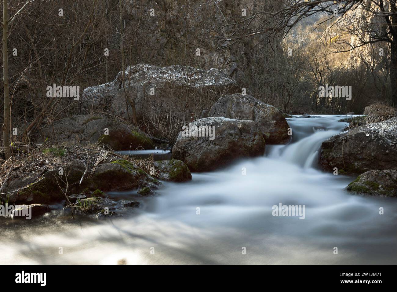 Rivière de montagne qui coule à Apuseni, gorges Tureni Banque D'Images