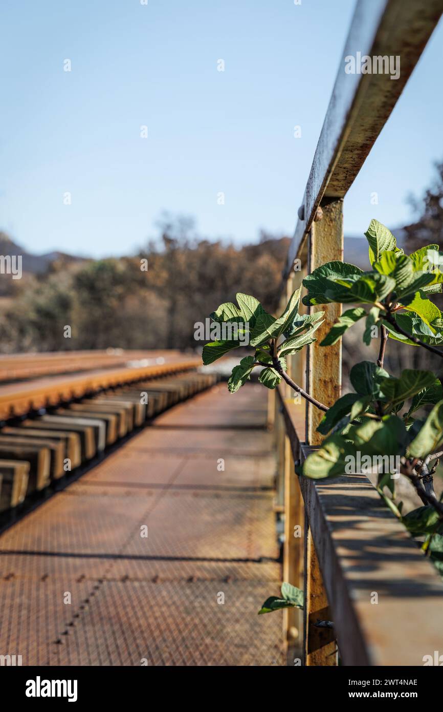 Voie ferrée dans la nature, montagnes et arbres jaunes, gravier au sol Banque D'Images