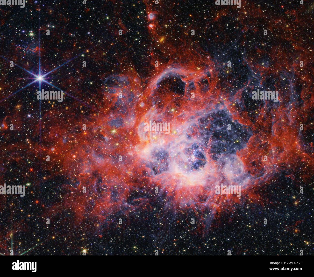 Cette image, publiée le lundi 11 mars 2024, de la NIRCam (Near-Infrared Camera) du télescope spatial James Webb de la NASA de la région de formation des étoiles NGC 604 montre comment les vents stellaires de jeunes étoiles brillantes et chaudes creusent des cavités dans le gaz et la poussière environnants. NGC 604 est situé dans la galaxie du Triangulum (M33), à 2,73 millions d'années-lumière de la Terre. Il permet aux astronomes d'étudier une forte concentration d'étoiles massives très jeunes dans une région voisine. CRÉDIT : NASA, ESA, CSA, STSCI Banque D'Images