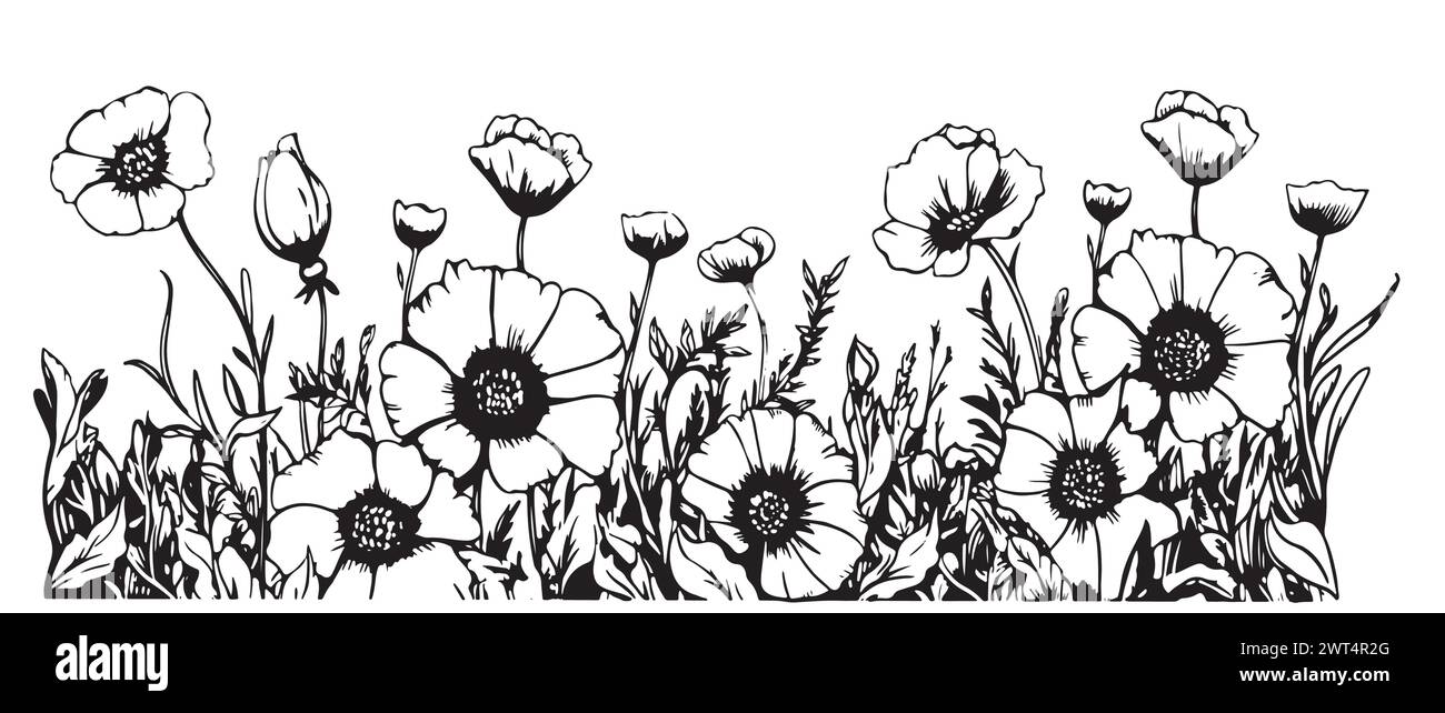 Bordure de champ de fleurs sauvages dessin à la main dans l'illustration de style Doodle Illustration de Vecteur