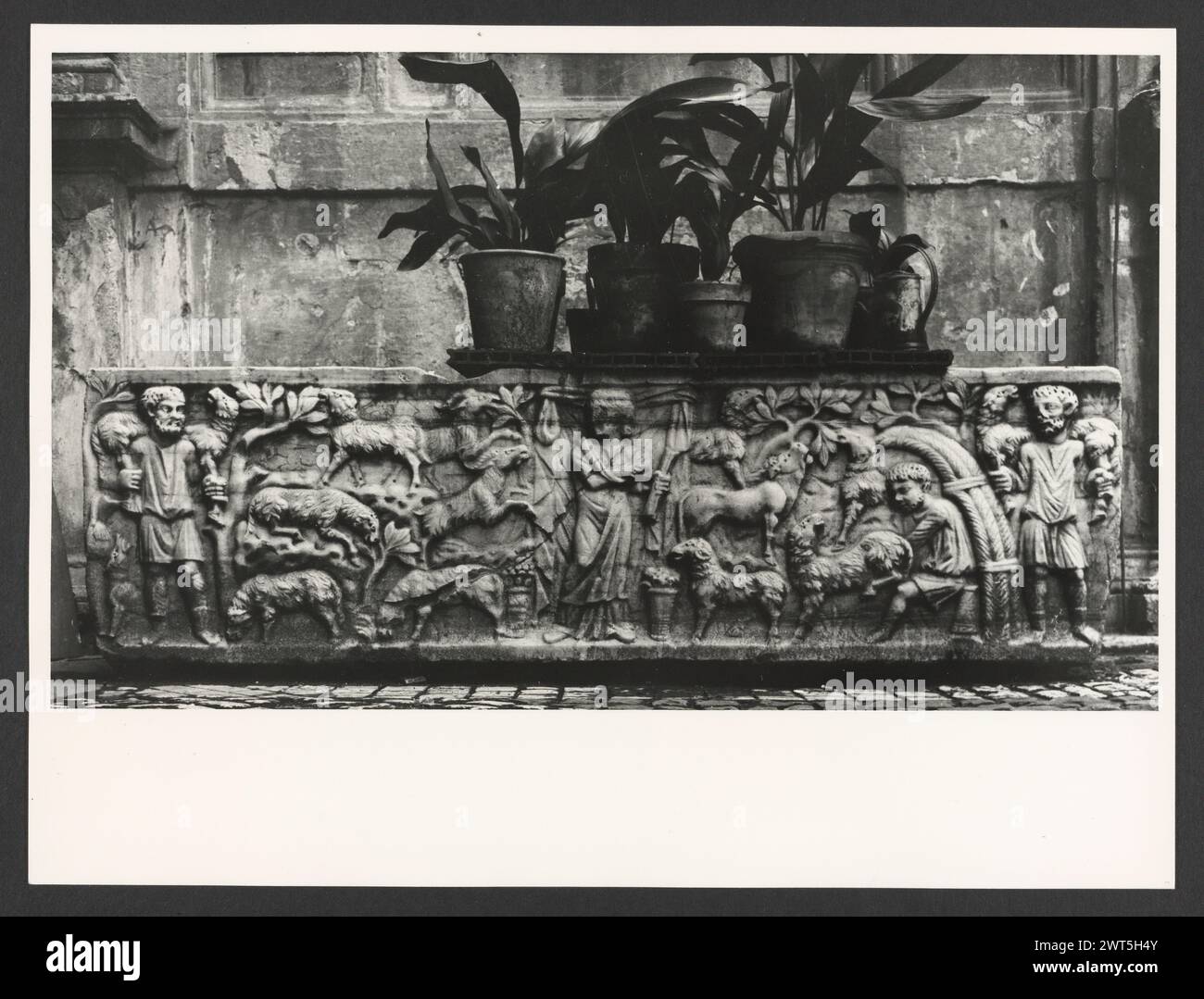 Lazio Roma Rome Palazzo del Commendatore4. Hutzel, Max 1960-1990 Post-médiéval : architecture, sculpture architecturale, sculpture, fresque. Notes de l'objet : le palazzo est le siège du président de l'hôpital de Borgo S. Spirito ; construit entre 1567-71 après la conception de Nanni di Baccio Bigio ; façade linéaire ; horloge fantastique de 1827. Hôpital a été fondé en 1198 par le pape Inncenzo III. Fresques dans les salons, environ 1 000 mètres carrés. 53 négatifs ont déjà été classés. Photographe et érudit d'origine allemande Max Hutzel (1911-1988) photographié en Italie du début des années 1960 jusqu'à sa mort. Banque D'Images