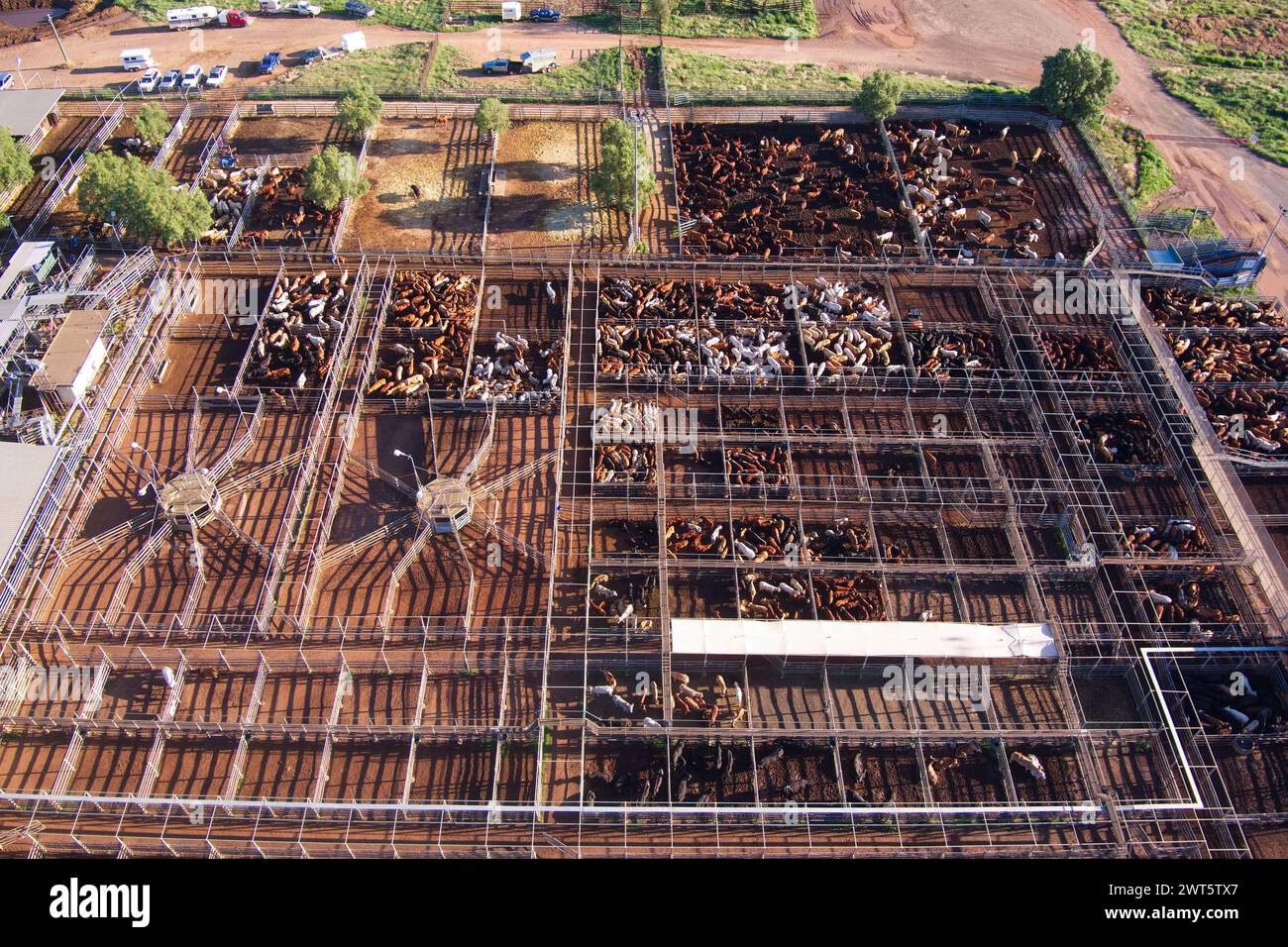 Aerial of the Roma Saleyards le plus grand centre de vente de bétail d'Australie, avec plus de 400 000 bovins passant par an. Roma Queensland Australie Banque D'Images