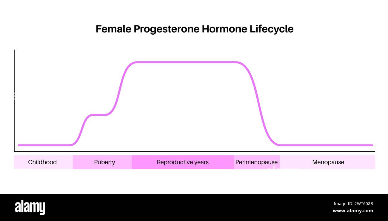 Cycle de vie de l'hormone progestérone femelle, illustration. Taux de progestérone dans la petite enfance, la puberté, les années de reproduction, la périménopause et la ménopause. Banque D'Images