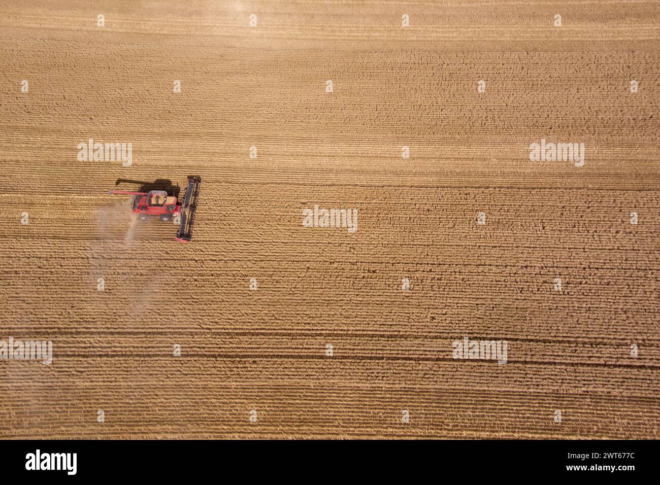 Antenne de moissonneuses-batteuses récoltant le blé près de Wallumbilla sur le Maranoa Queensland Australie Banque D'Images