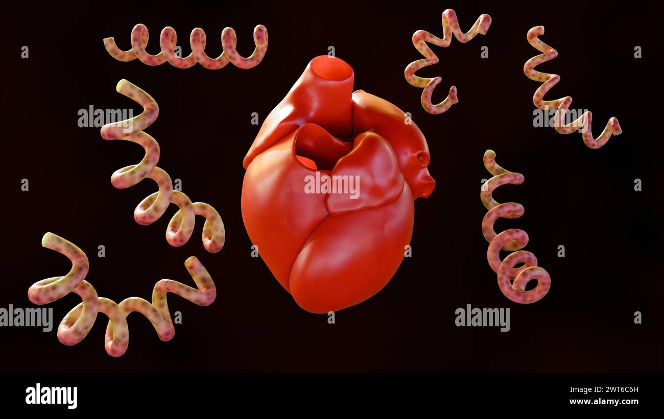 Le rendu 3d de la syphilis cardiovasculaire fait référence à l'infection du cœur et des vaisseaux sanguins connexes par la bactérie syphilis Banque D'Images