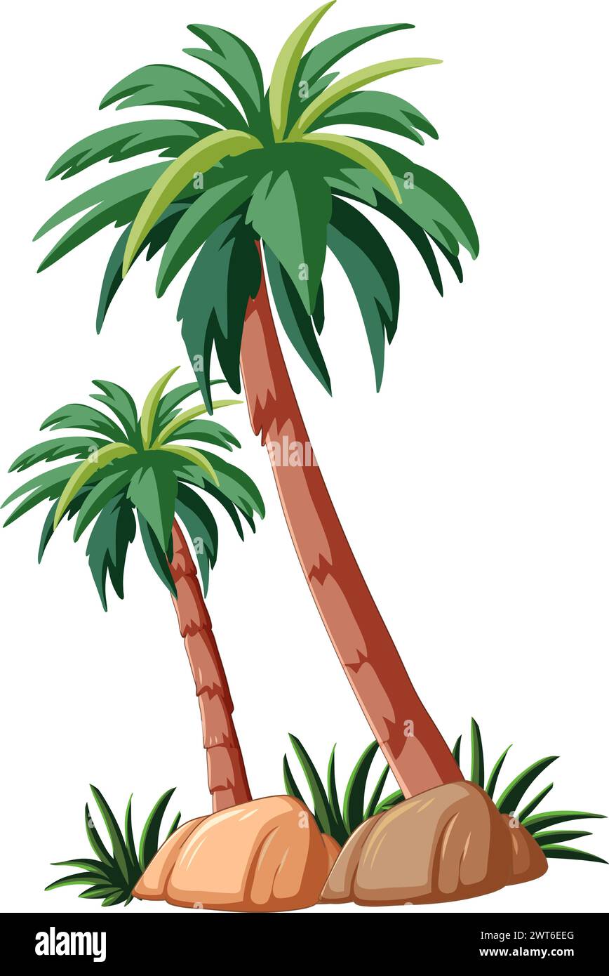 Illustration vectorielle de deux palmiers sur des rochers Illustration de Vecteur