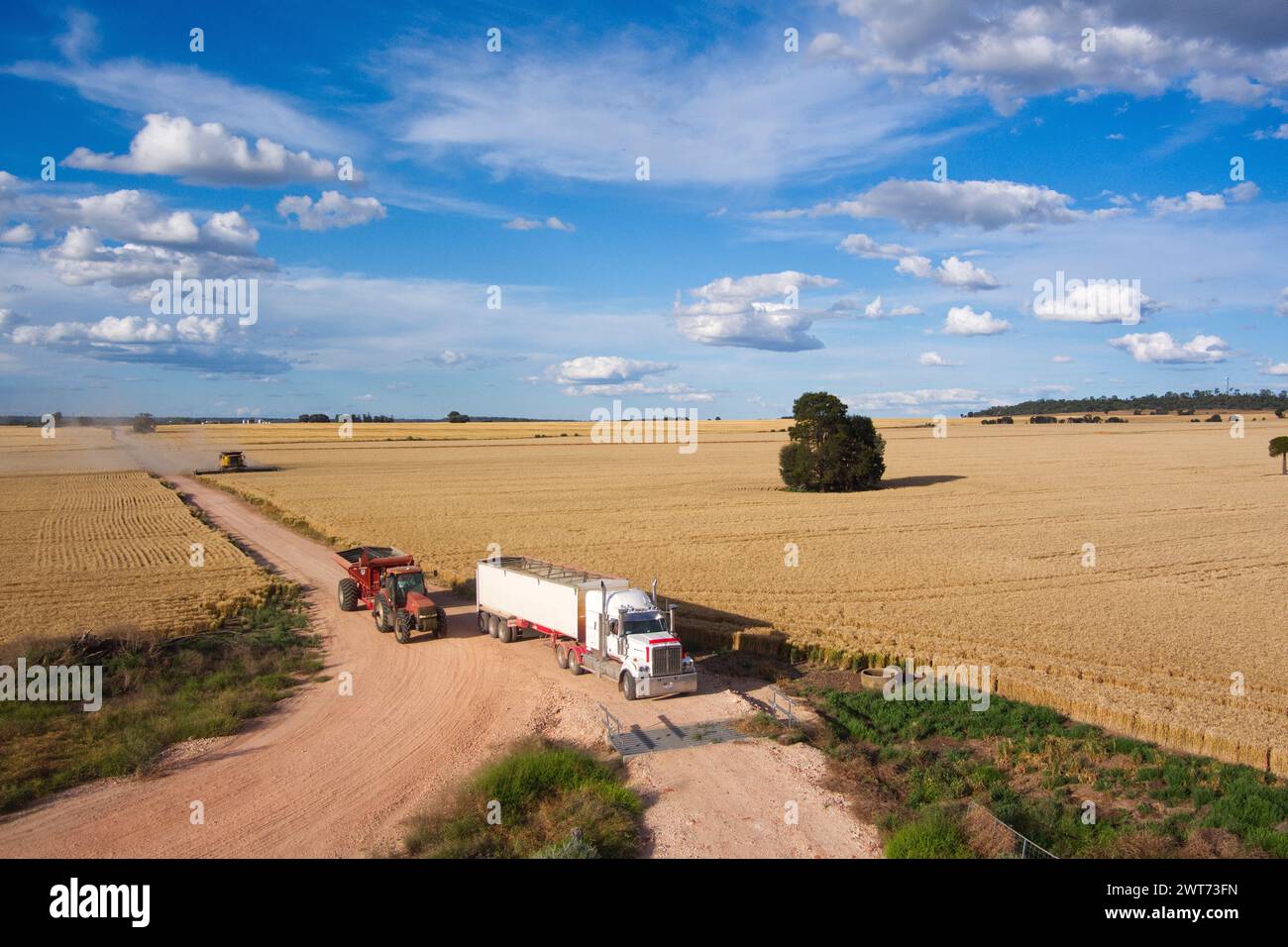 Aérien de chasseur de poubelle déchargeant le blé récolté sur un camion pour le transport à Wallumbilla sur le Maranoa Queensland Australie Banque D'Images