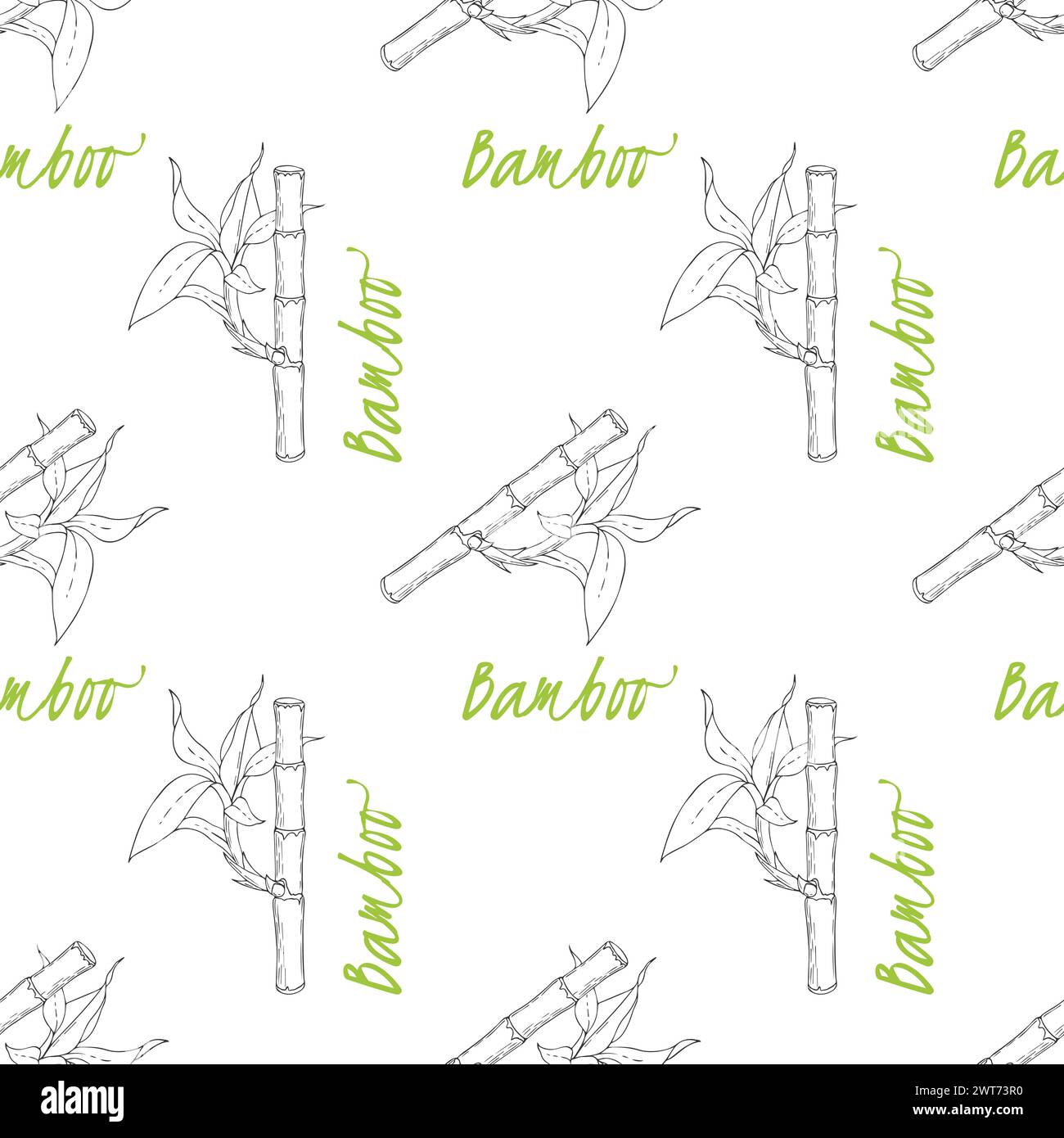 Motif de bâtons de bambou avec de jeunes pousses de feuilles et inscription verte sur fond blanc. Illustration vectorielle Illustration de Vecteur