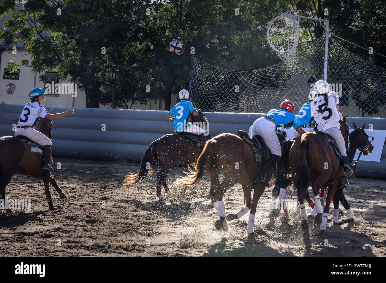 La française Charlotte Laguerre (d) et le mexicain José Luis Nieto (l) de l'équipe Simone vus en action lors de l'Open Horseball Argentina, qui s'est tenu au Regimiento de Granaderos a Caballo. Le tournoi international 'Open Horseball Argentina' s'est déroulé au Regimiento de Granaderos a Caballo General San Martín, dans la ville de Buenos Aires, les 7, 8 et 9 mars à des fins promotionnelles. C'est le prélude au Championnat du monde de Horseball 2025 qui se tiendra en Argentine. Trois matchs ont été joués à chaque date. Les équipes étaient composées de joueurs de différents pays. La finale a été jouée samedi, Banque D'Images