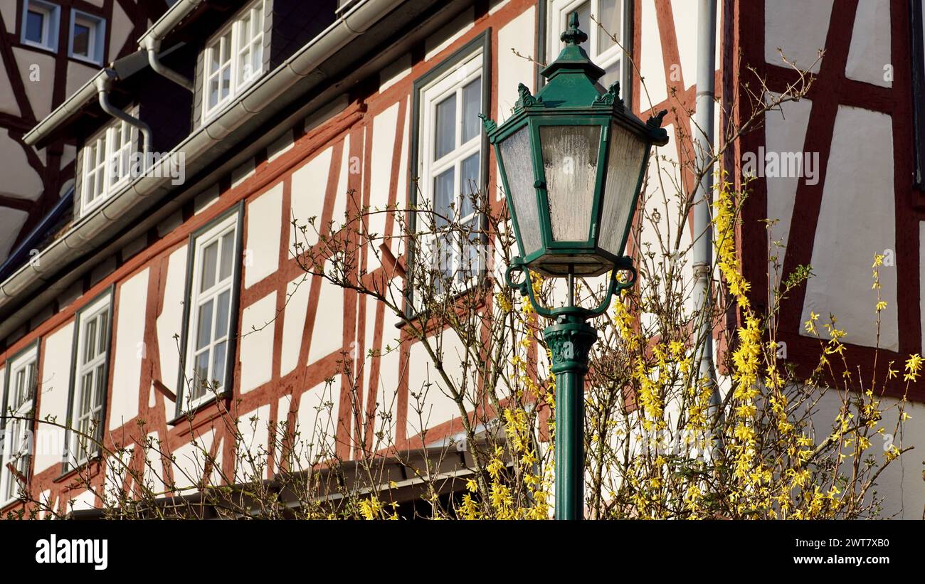 Une vieille lanterne devant une maison à colombages en Allemagne. Un Forsyth florissant. Banque D'Images