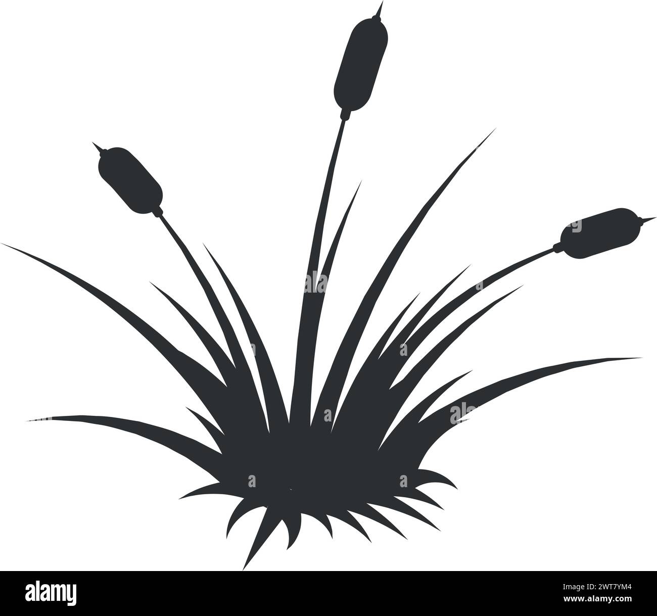 Icône Reed. Croissance plante marécageuse silhouette noire Illustration de Vecteur