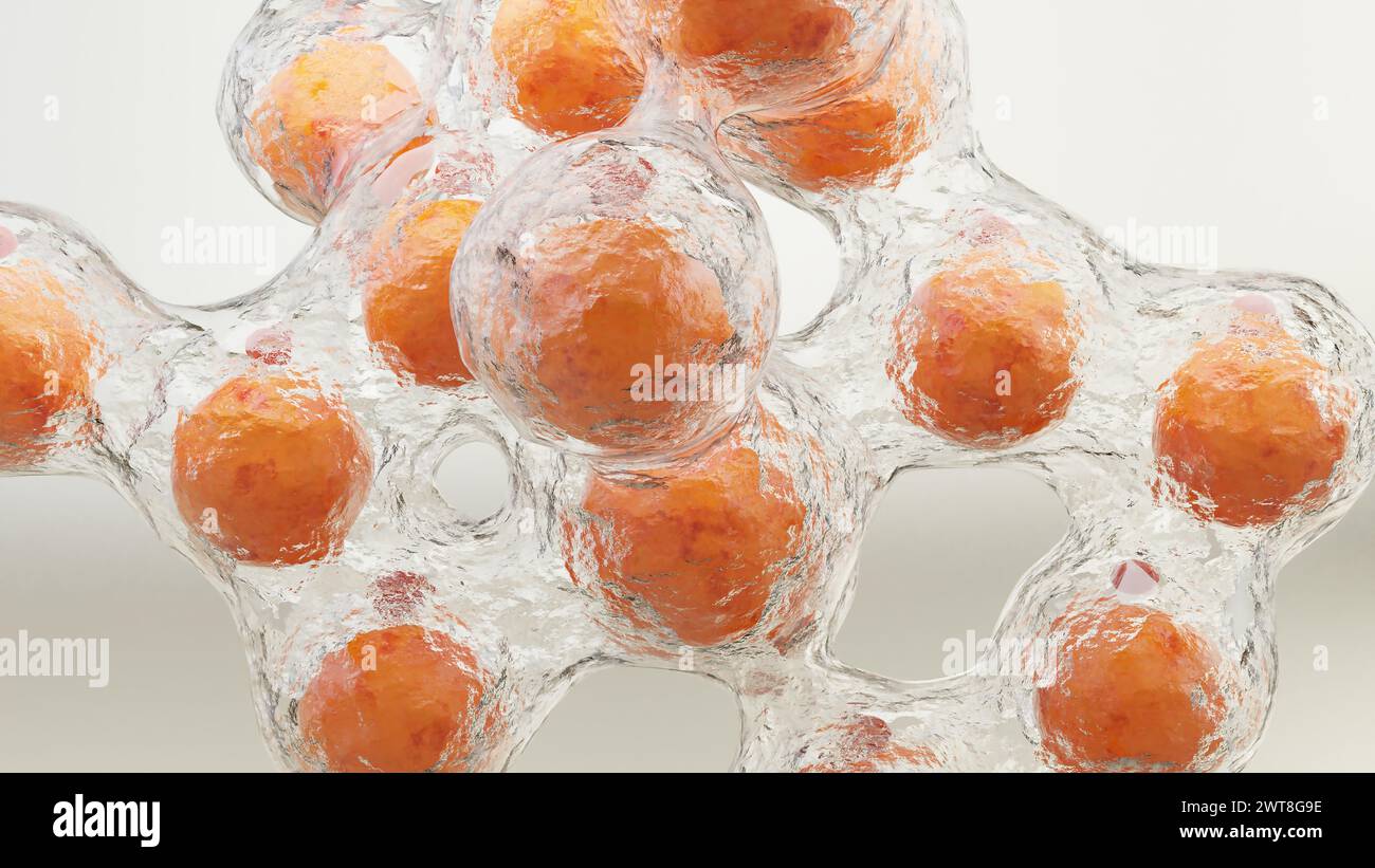 Perte de poids. Brûlure de graisse dans le tissu humain, tissu conjonctif adipeux, cellules graisseuses brûlant au microscope, lipocytes, rendu 3D réaliste Banque D'Images
