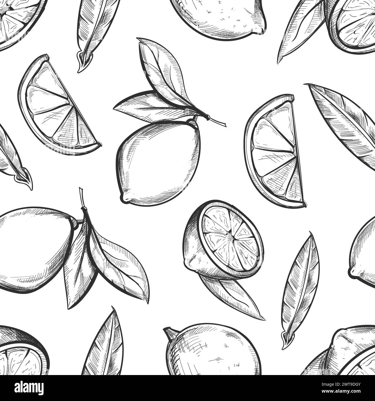 Motif sans couture citron. Agrumes dessinés à la main Illustration de Vecteur