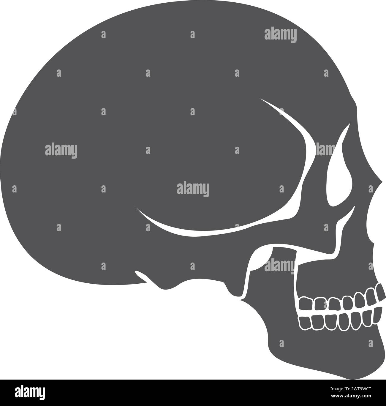 Icône de crâne humain noir. Anatomie des os de la tête Illustration de Vecteur