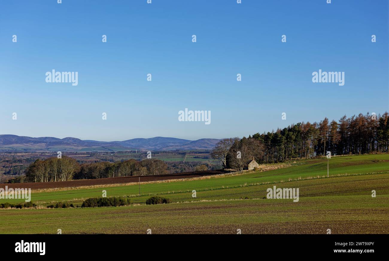 Un Cottage solitaire en ruine caché parmi les pentes vallonnées de la vallée de Strathmore et éclairé par la lumière du matin avec les Angus Glens dans le dos Banque D'Images