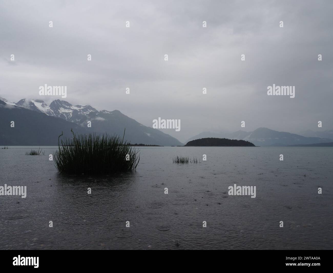 Haines, Alaska, capturant des eaux calmes avec des roseaux aquatiques au premier plan, une île lointaine au milieu du sol, et des montagnes couvertes de brouillard et enneigées Banque D'Images