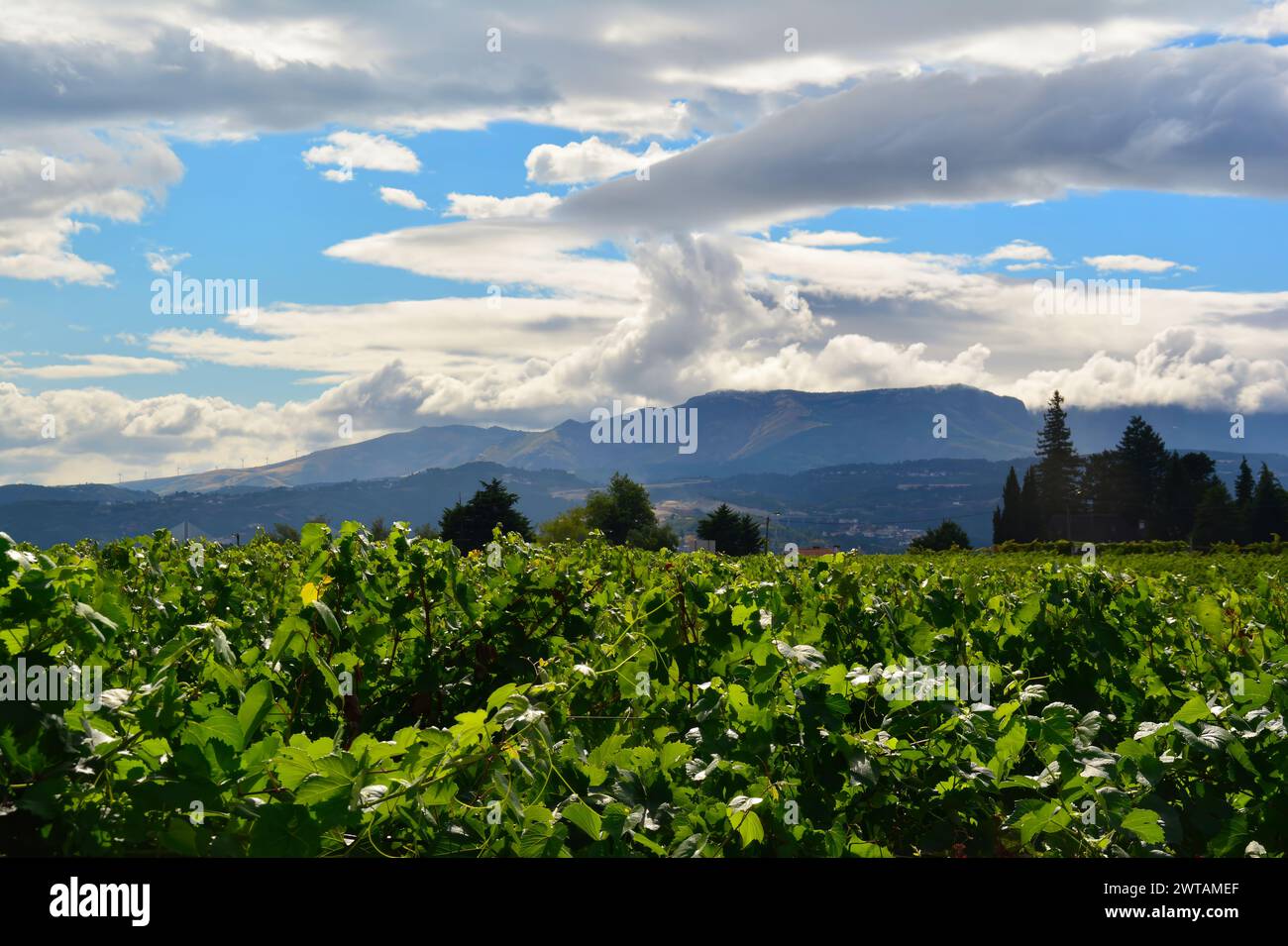 Palácio de Mateus, Portugal Banque D'Images