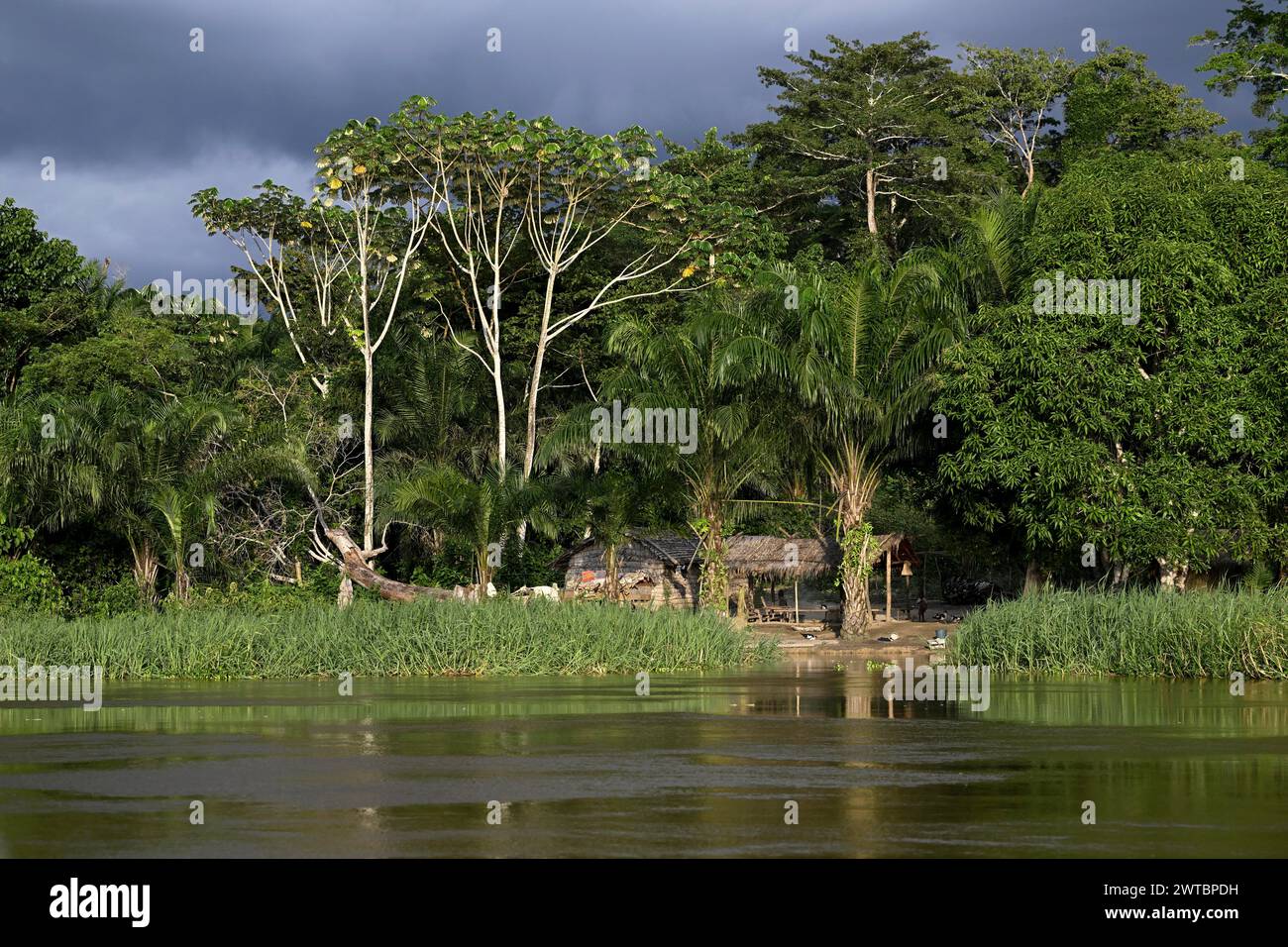 Cabane sur la rivière Sangha, complexe d'aires protégées de Dzanga-Sangha (DSPAC), préfecture de Sangha-Mbaere, République centrafricaine Banque D'Images