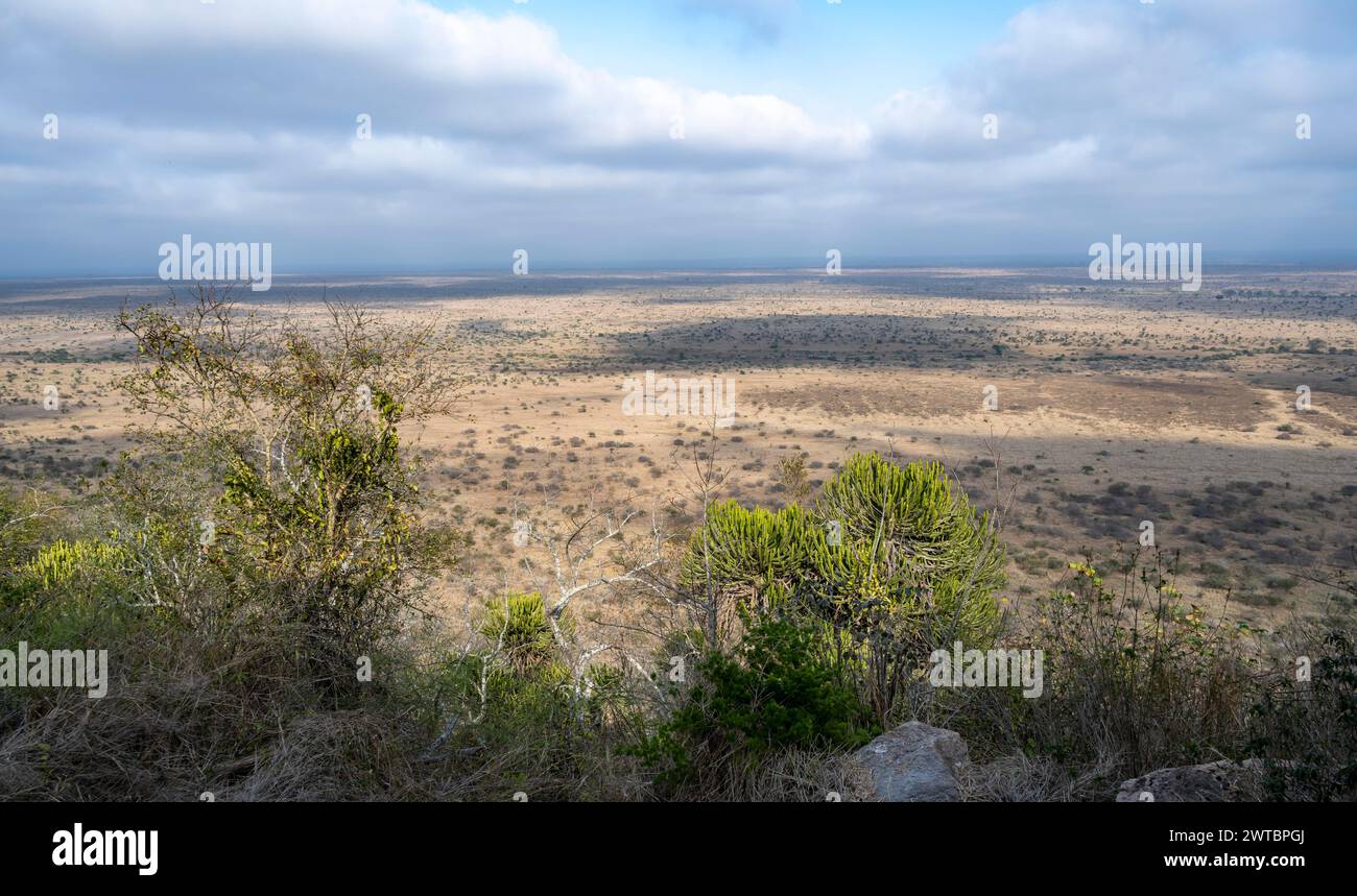 Vue sur le paysage de savane, parc national Kruger, Afrique du Sud Banque D'Images