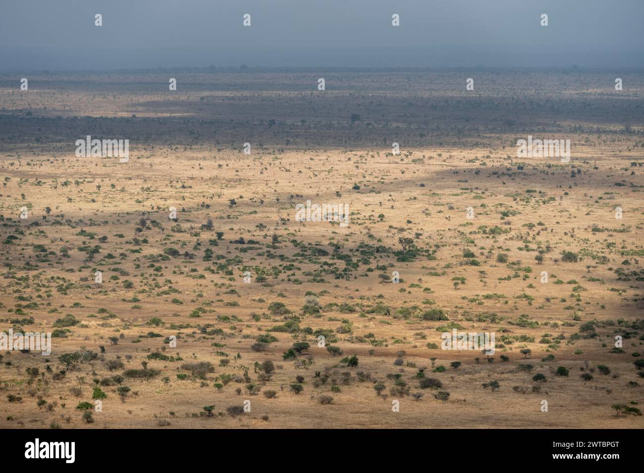 Vue sur le paysage de savane, parc national Kruger, Afrique du Sud Banque D'Images