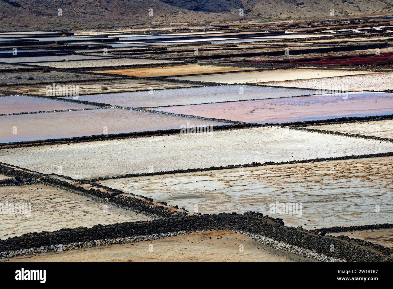 Extraction de sel de mer, salines de Janubio, Salinas de Janubio, Lanzarote, Îles Canaries, îles Canaries, Espagne Banque D'Images